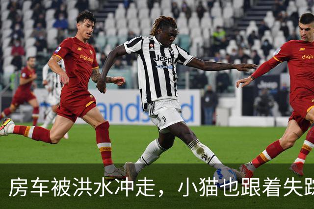 房车被洪水冲走，小猫也跟着失踪，8天后它突然回家了，全家人都哭了